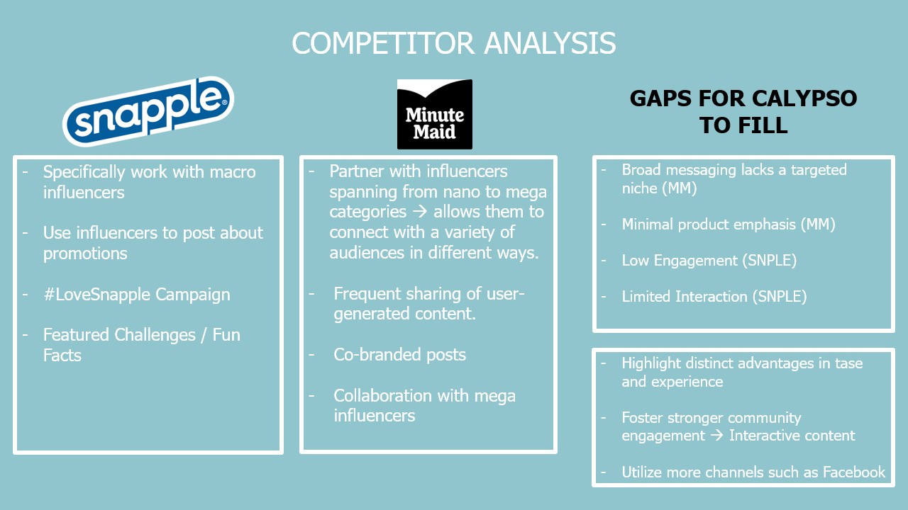 Competitor analysis chart for Snapple, Minute Maid, and Calypso